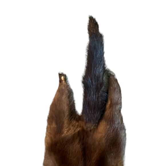 TANNED MINK PELT 29” Scarf Drape Stole Wrap Collar Natural Leather Taxidermy - Picture 11 of 16